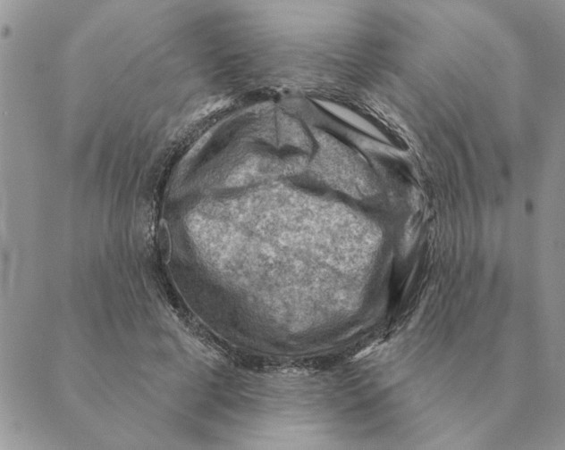 X0000088830593200707051424