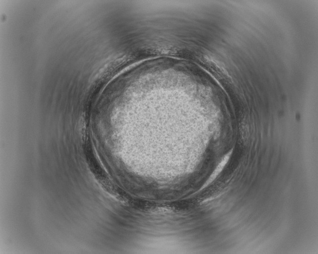 X0000088830594200707051424