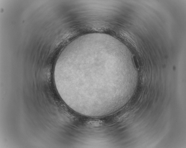 X0000088830595200707051424