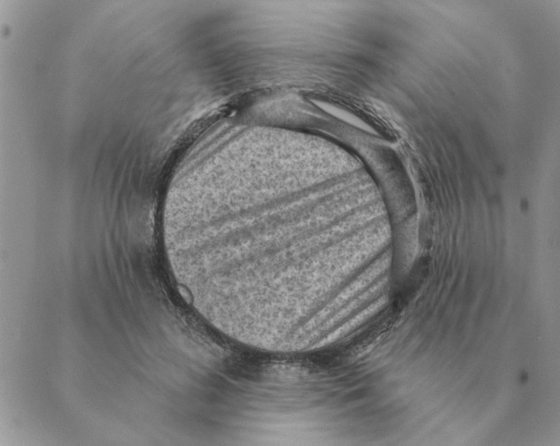 X0000088830596200707051424