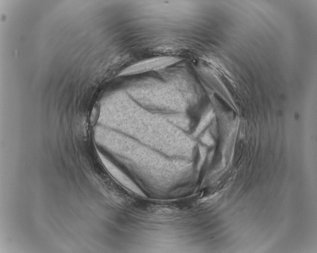 X0000088830597200707051424