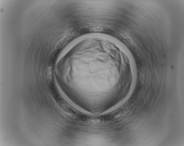 X0000088830598200707051424