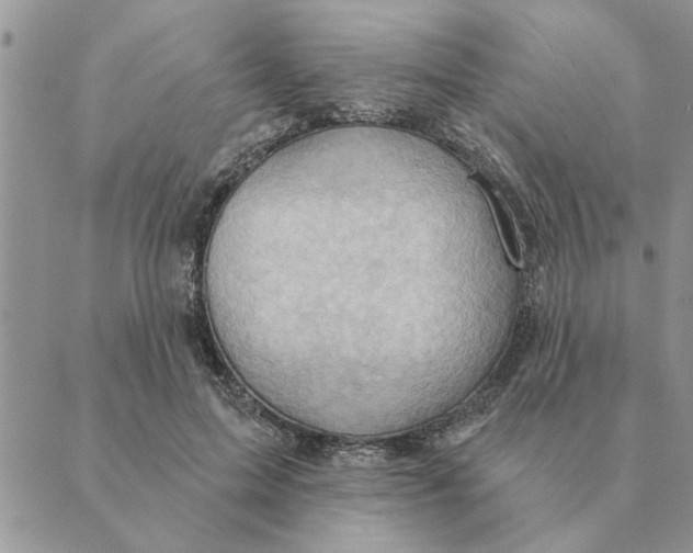 X0000088830599200707051424