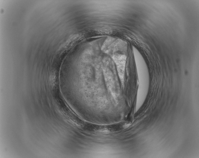 X0000088830600200707051424