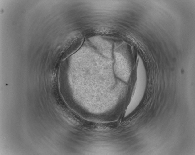 X0000088830601200707051424