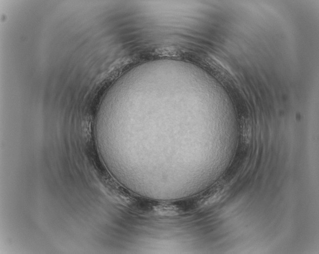 X0000088830603200707051424