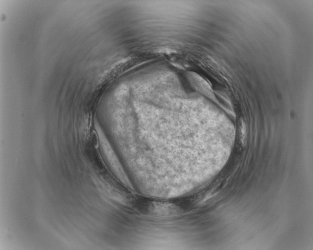 X0000088830605200707051424