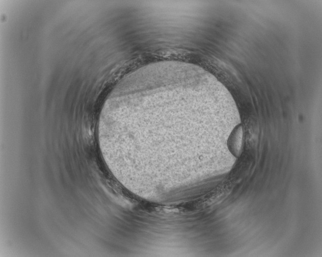 X0000088830607200707051424