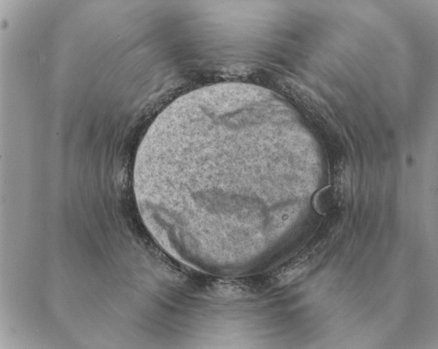 X0000088830608200707051424