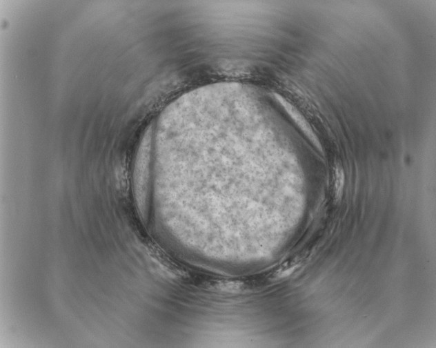 X0000088830609200707051424