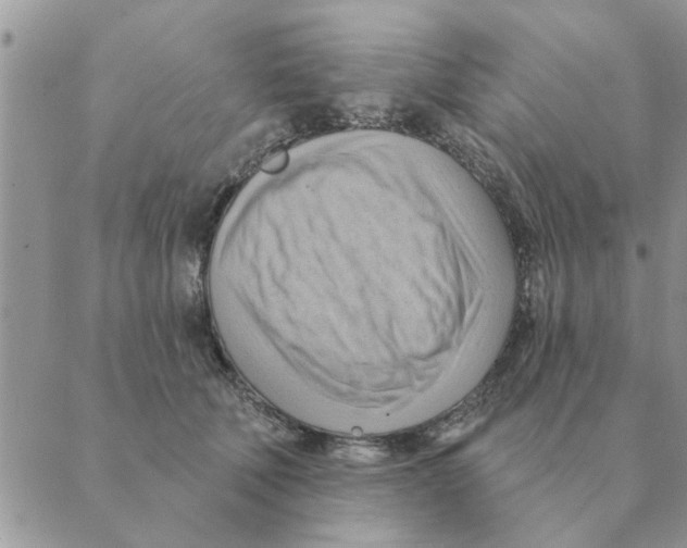 X0000088830610200707051424