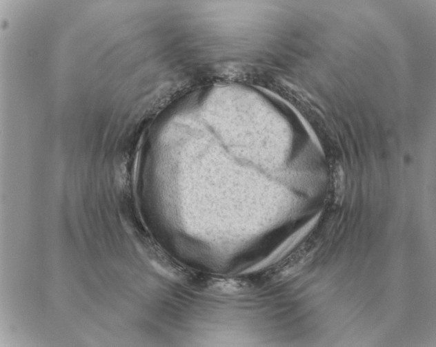 X0000088830611200707051424