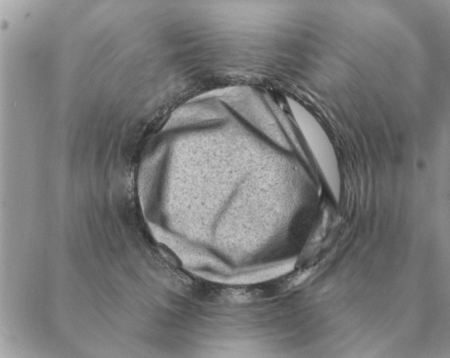 X0000088830613200707051424