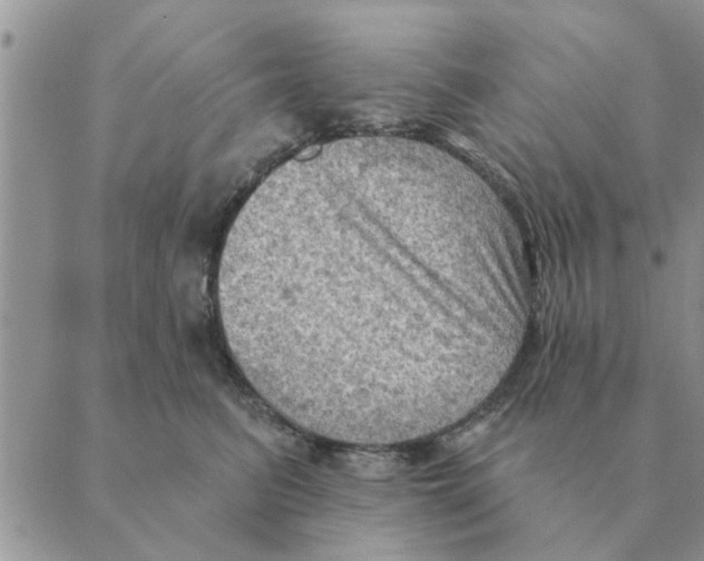 X0000088830615200707051424