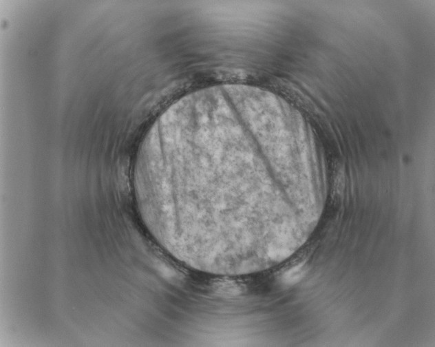 X0000088830616200707051424