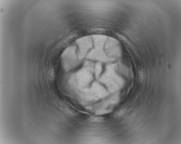 X0000088830617200707051424