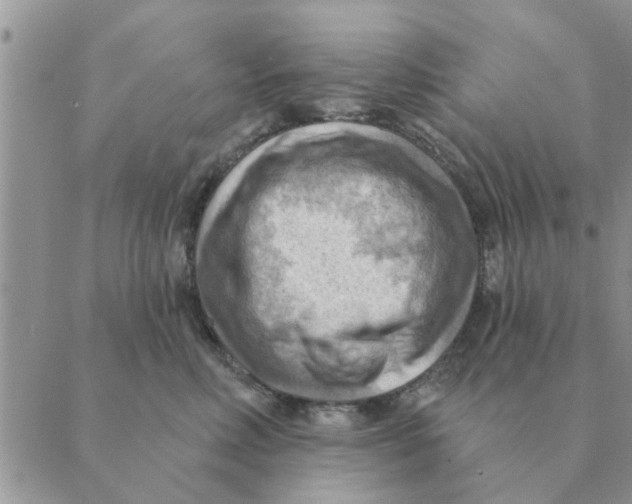 X0000088830618200707051424