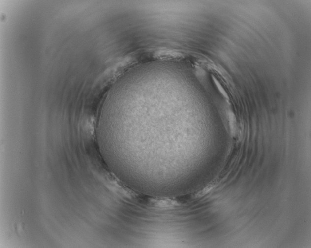 X0000088830621200707051424