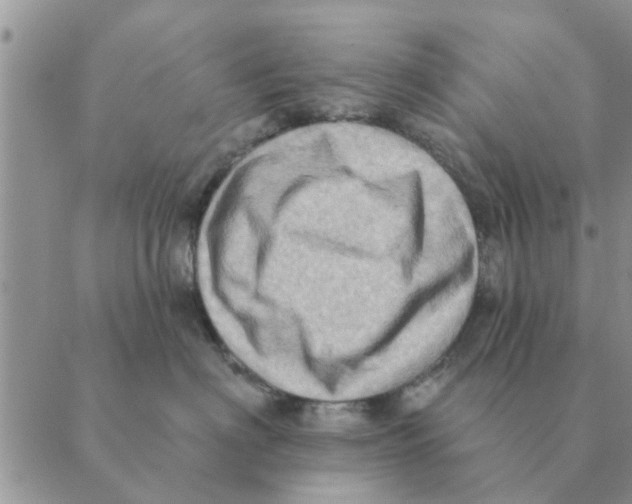 X0000088830622200707051423