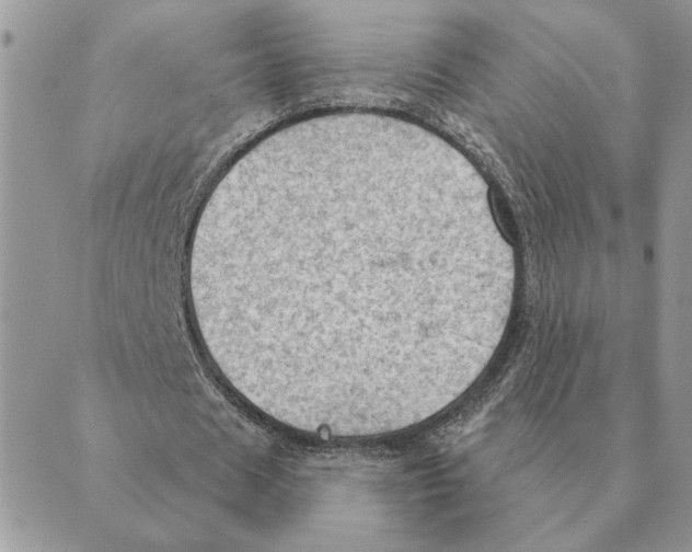 X0000088830625200707051423