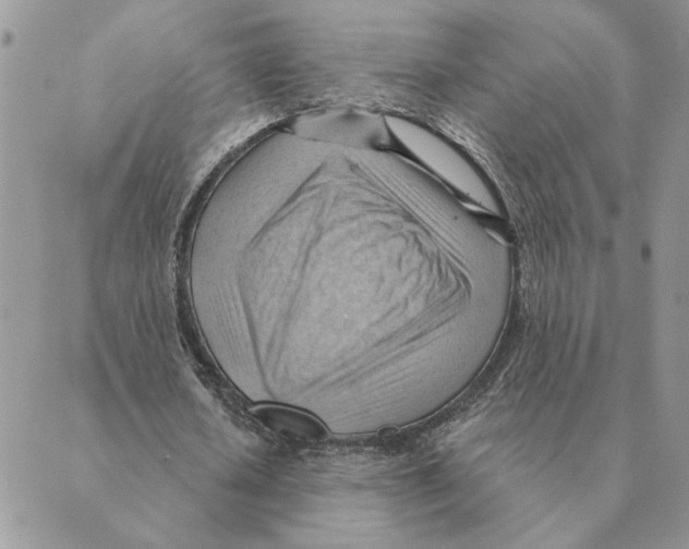 X0000088830626200707051423