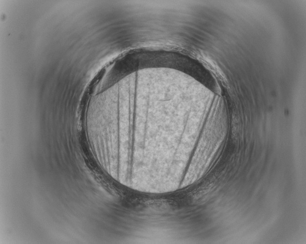 X0000088830628200707051423