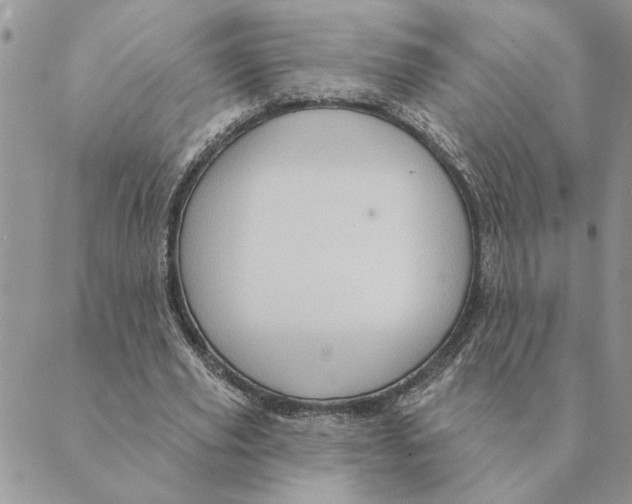 X0000088830629200707051423