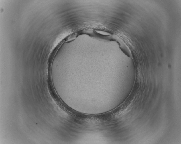 X0000088830630200707051423