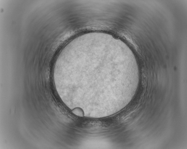 X0000088830631200707051423