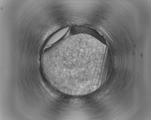 X0000088830634200707051423