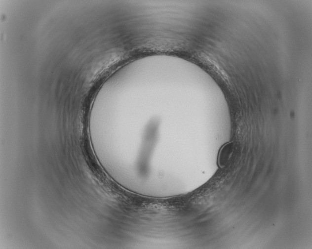 X0000088830635200707051423