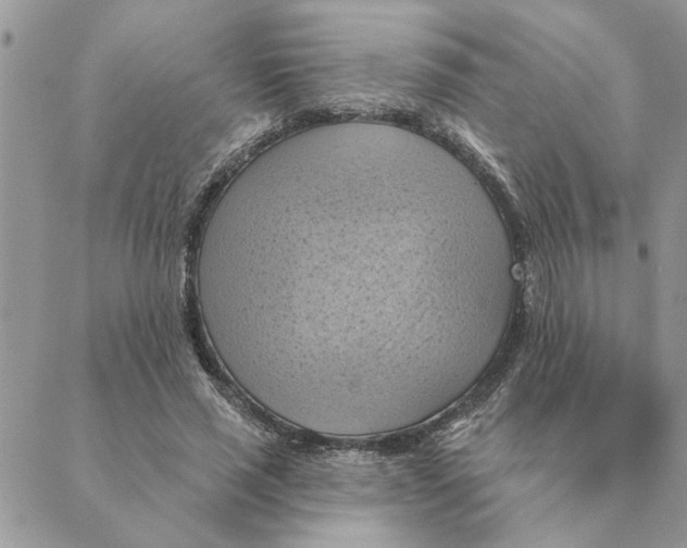 X0000088830637200707051423