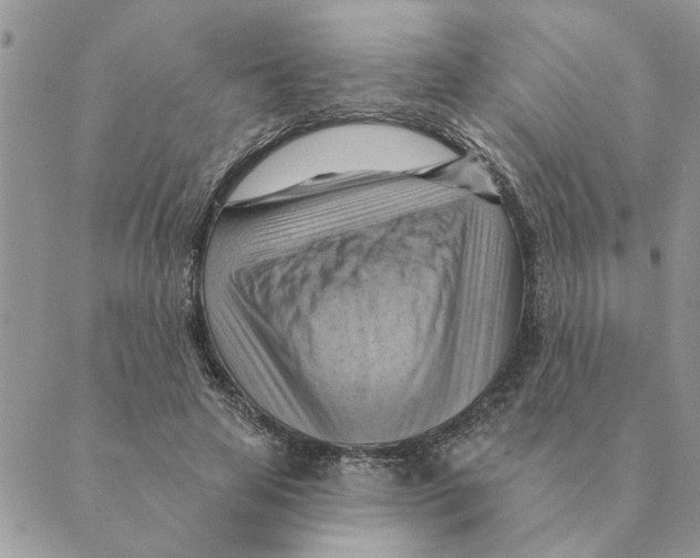 X0000088830641200707051423