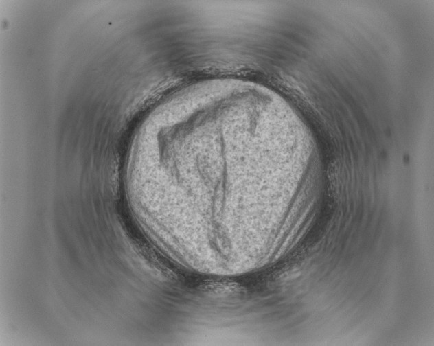 X0000088830642200707051423