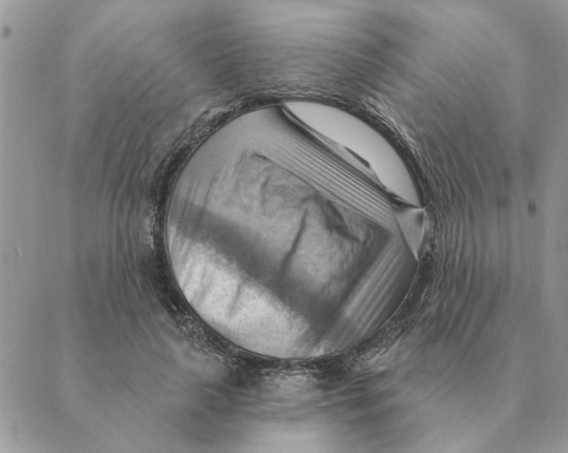 X0000088830643200707051423