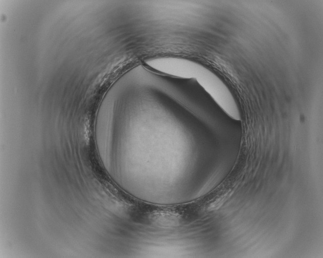 X0000088830644200707051423