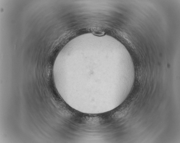 X0000088830645200707051423