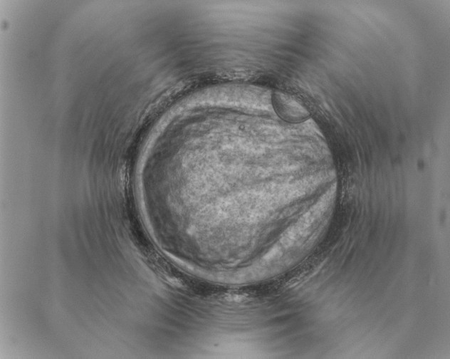 X0000088830647200707051423