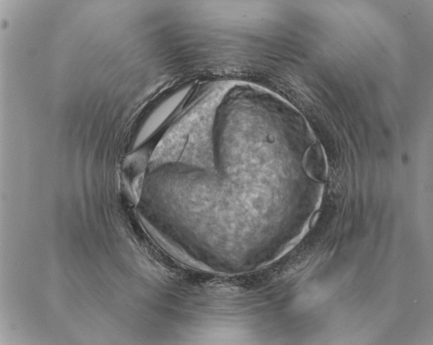 X0000088830648200707051423