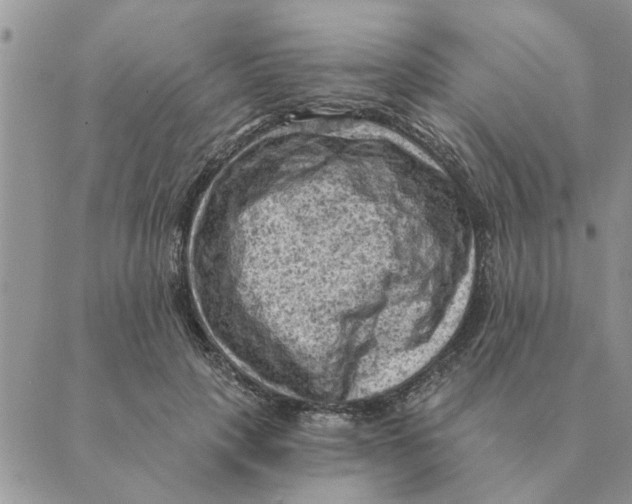 X0000088830649200707051423