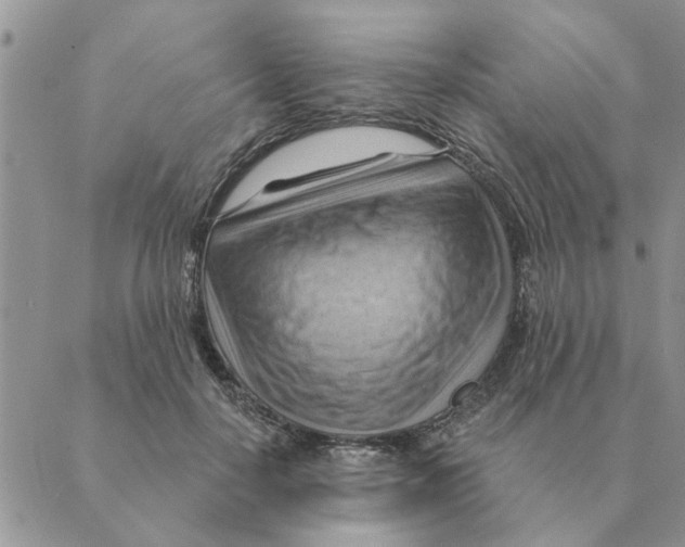 X0000088830650200707051423