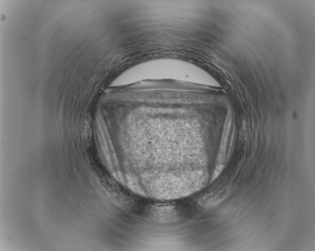 X0000088830651200707051423