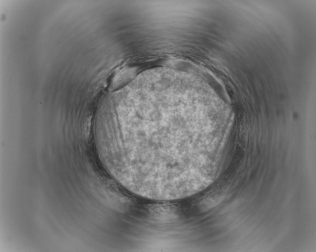 X0000088830652200707051423