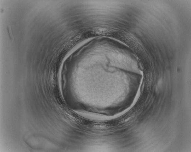 X0000088830653200707051423