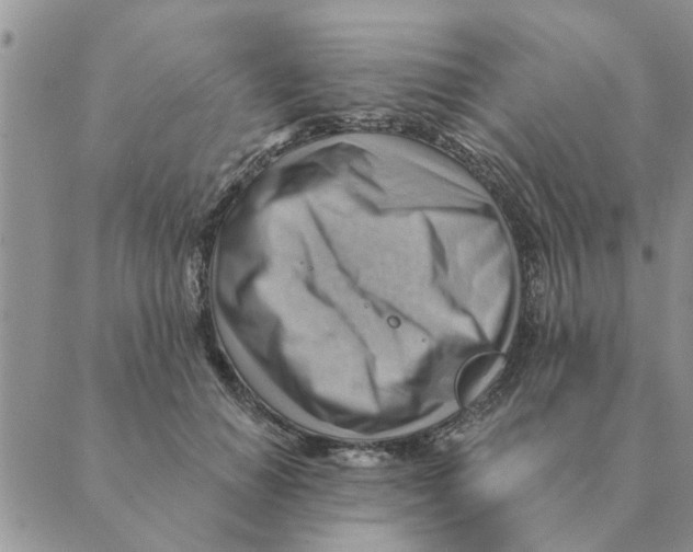 X0000088830654200707051423