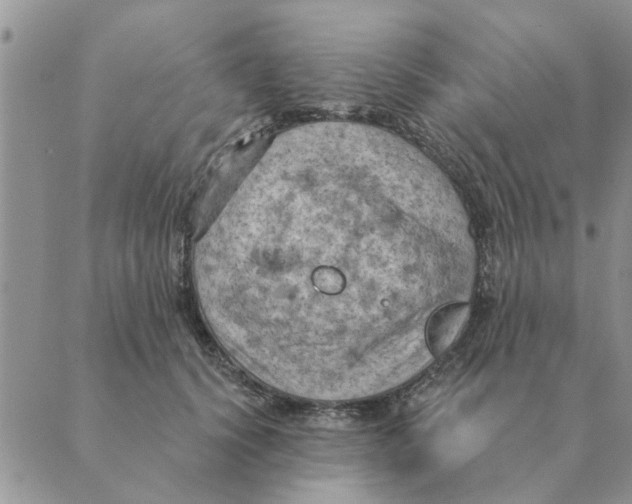 X0000088830656200707051423