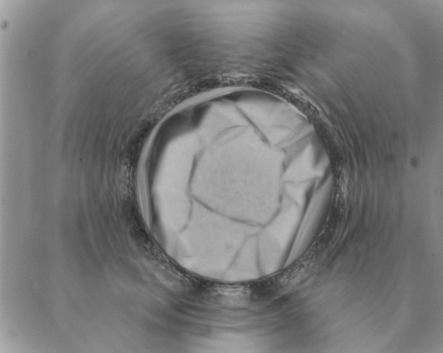 X0000088830659200707051423