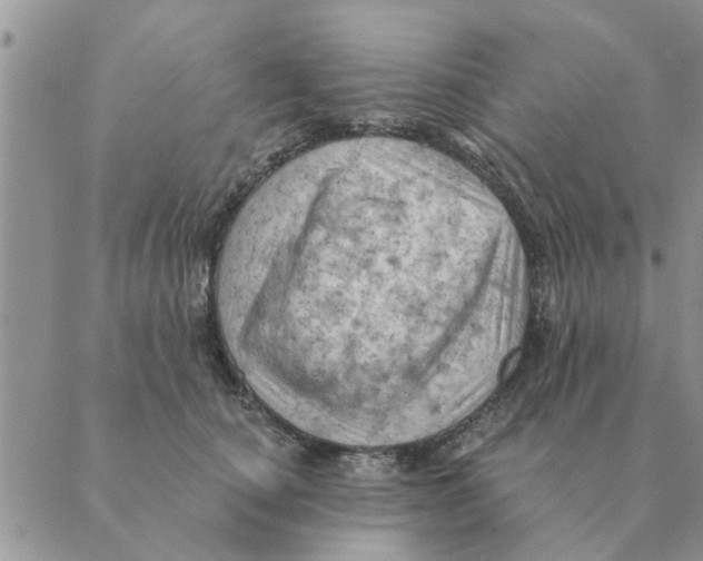 X0000088830660200707051423