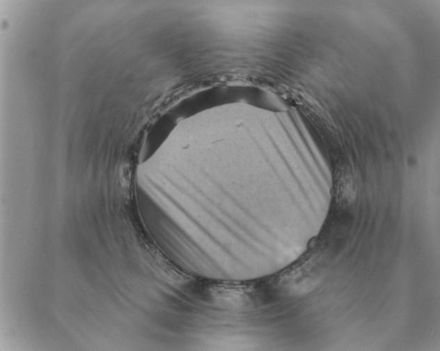 X0000088830661200707051423