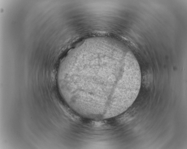 X0000088830662200707051423